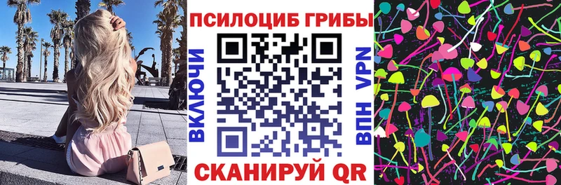 где найти наркотики  Солигалич  Галлюциногенные грибы мицелий 